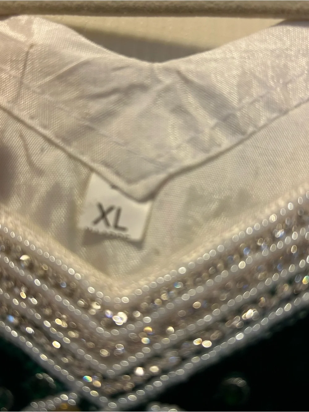 Lily Fashion Green Velvet Evening Top with Crystal Teardrop and Bead Embellment